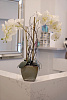 BQ8628 STATUARIO