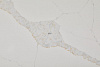 7070_Calacatta Versal