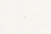 1111_Avallon